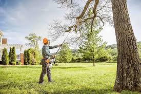 Best Tree Planting Services  in Remsenburg Speonk, NY